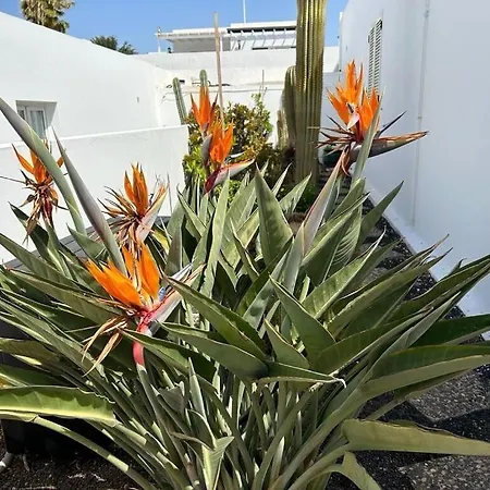 2 Bedroom In Puerto Del Carmen Puerto del Carmen (Lanzarote)